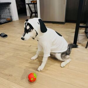 Snoopy Dog Hoodie size Medium